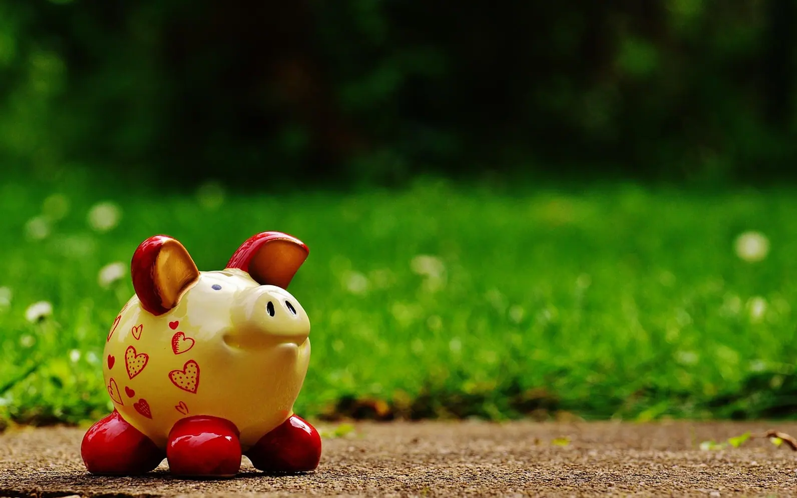 Piggy bank, hearts and fun
