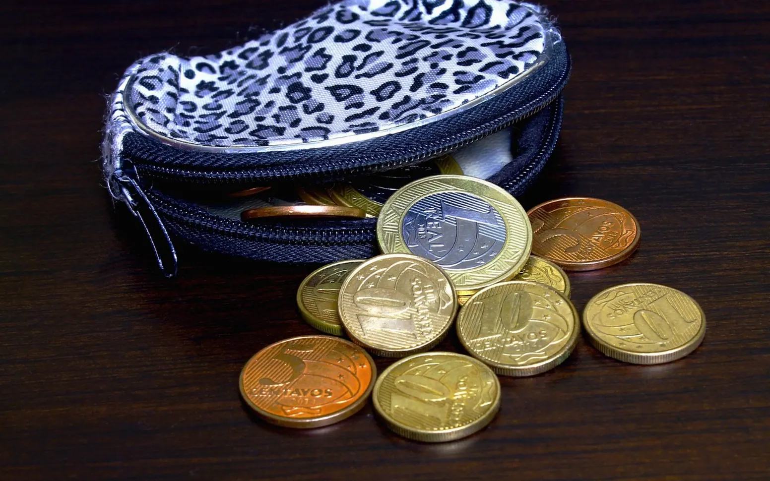 Coin purse, little bag and handbag